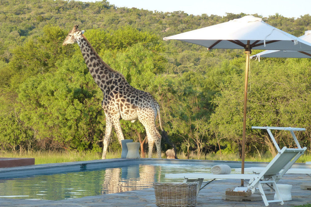 Zebras Crossing Private Game Lodge Modimolle Buitenkant foto