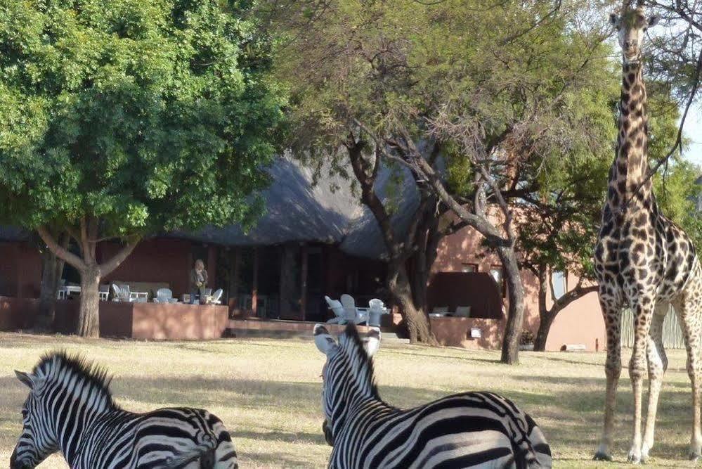 Zebras Crossing Private Game Lodge Modimolle Buitenkant foto