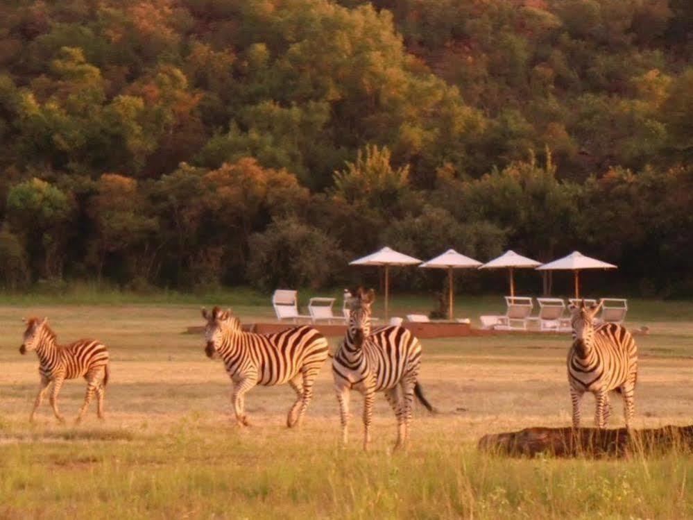 Zebras Crossing Private Game Lodge Modimolle Buitenkant foto