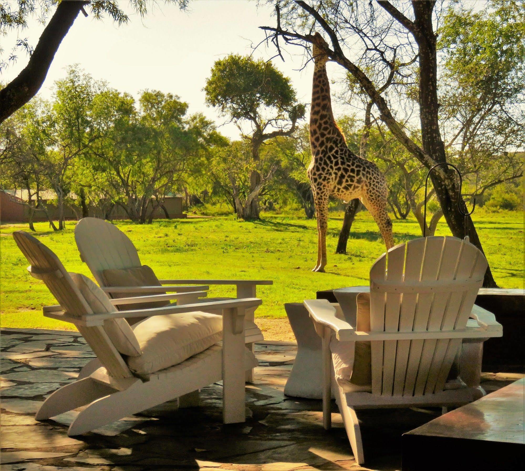 Zebras Crossing Private Game Lodge Modimolle Buitenkant foto